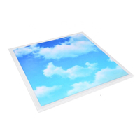 Customized Office Blue Sky Cloud LED-Deckenleuchten Hersteller
